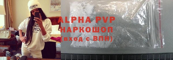 индика Надым