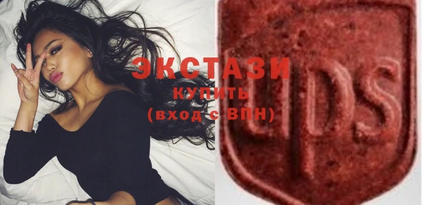 индика Надым