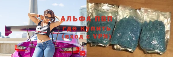 индика Надым