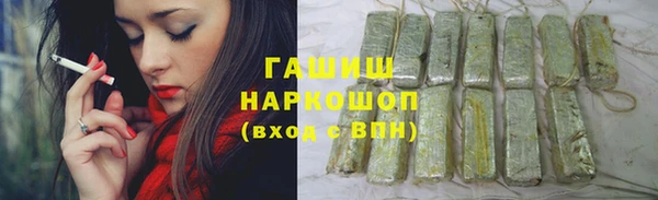 индика Надым