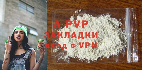 индика Надым