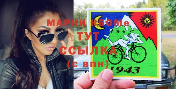 индика Надым