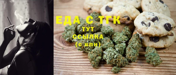 индика Надым