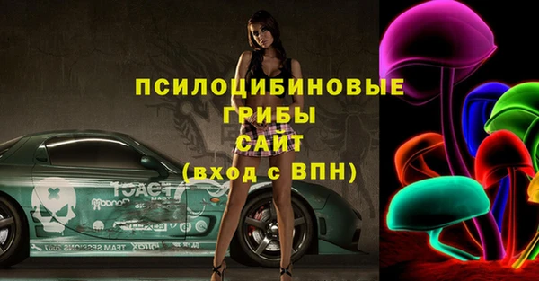 индика Надым