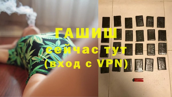 индика Надым