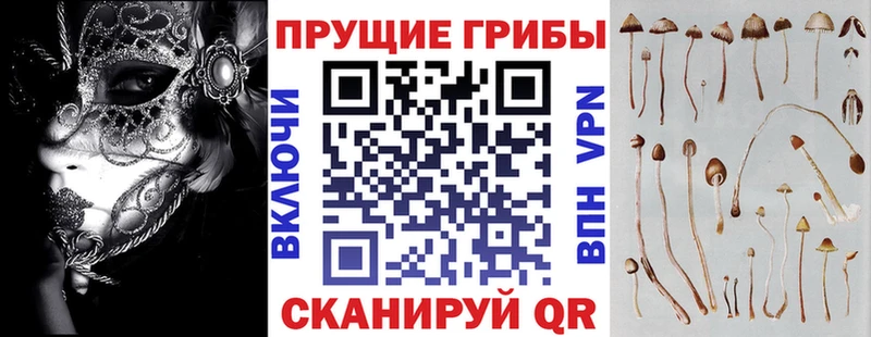 Купить где  Старая Купавна  Псилоцибиновые грибы Magic Shrooms 